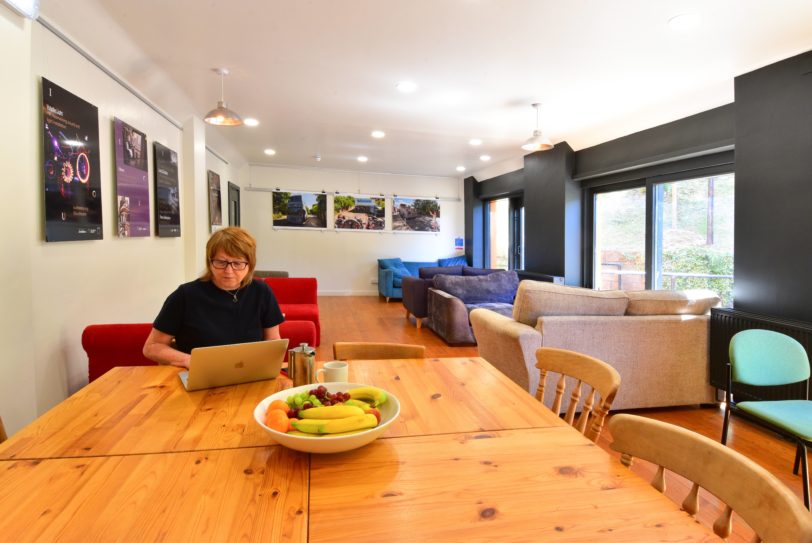 Large room with sofas and dinning table . Woman working on a laptop