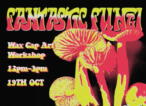 Fantastic Fungi Workshop